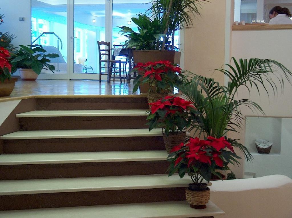 Centro Pineta Family Hotel&Wellness Pinzolo Esterno foto